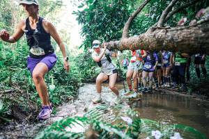 BIB: 
                            <button type="button" onclick="openModal(25470340)" class="btn btn-primary btn-sm float-right btn-popup" data-toggle="modal" data-target=".modal-high-quality">
                        <i class="fas fa-shopping-cart"></i> Add to Cart
                    </button>
                                            <button type="button" onclick="isThisMe(25470340, true)" class="btn btn-success btn-sm float-right btn-popup btn-isme hidden" data-toggle="tooltip" data-placement="bottom" title="นี่คือรูปของคุณใช่ไหม คลิกที่นี่เพื่อเอาเข้าอัลบั้ม">
                        <i class="fas fa-plus"></i> Add to album
                    </button>
                    <button type="button" onclick="isThisMe(25470340, false)" class="btn btn-warning btn-sm float-right btn-popup btn-isnotme hidden">
                        <i class="fas fa-ban"></i> Remove from album
                    </button>